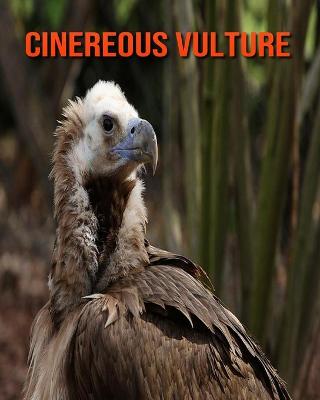 Book cover for Cinereous Vulture