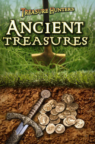 Cover of Ancient Treasures