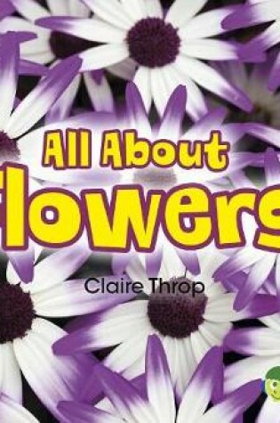 Cover of All About Plants All About Flowers