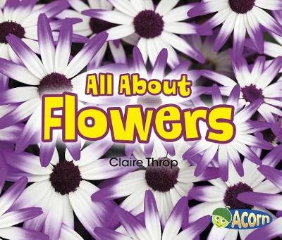 Book cover for All About Plants All About Flowers