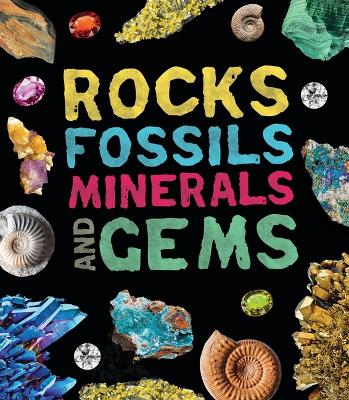 Book cover for Rocks, Fossils, Minerals, and Gems