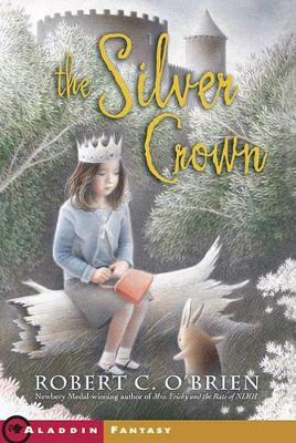 Book cover for Silver Crown