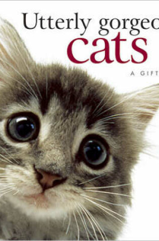Cover of Utterly Gorgeous Cats