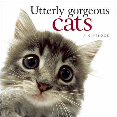 Book cover for Utterly Gorgeous Cats