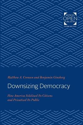 Book cover for Downsizing Democracy