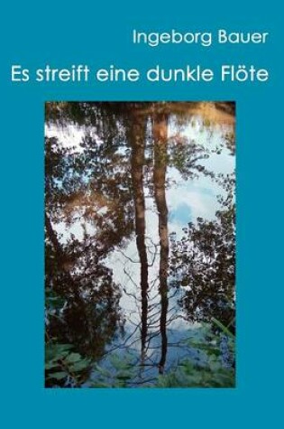 Cover of Es streift eine dunkle Flöte