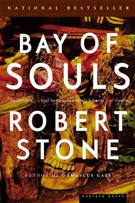 Book cover for Bay of Souls: A Novel