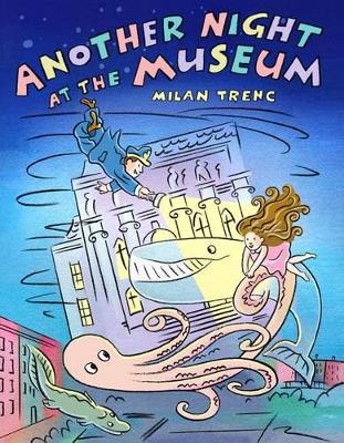 Book cover for Another Night at the Museum