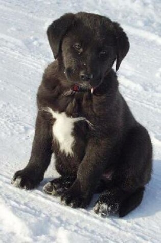 Cover of A Black Lab Puppy Sitting in the Snow Journal