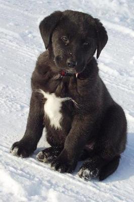 Book cover for A Black Lab Puppy Sitting in the Snow Journal