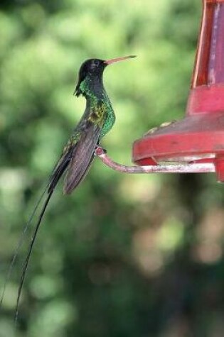 Cover of Hummingbird at a Bird Feeder Journal