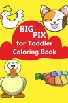 Book cover for Big Pix for Toddler Coloring Book