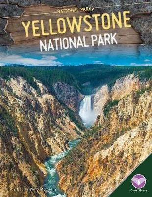 Book cover for Yellowstone National Park