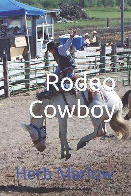 Book cover for Rodeo Cowboy