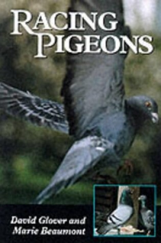 Cover of Racing Pigeons