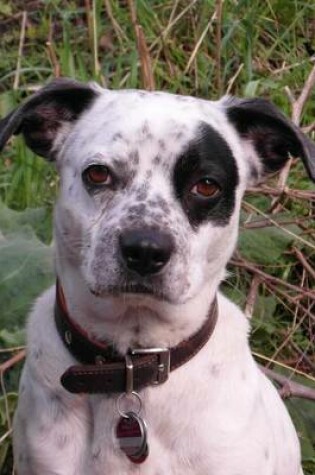 Cover of Darling Mixed Breed Black and White Dog Journal