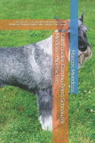 Cover of Como Lidiar Con Un Perro Schnauzer Mediano Hiperactivo