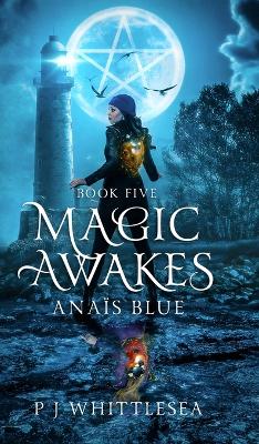 Book cover for Magic Awakes