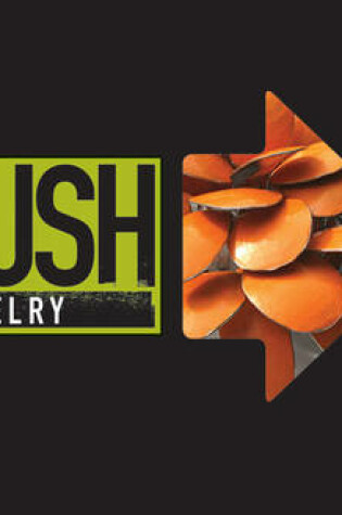 Cover of PUSH Jewelry