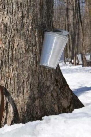 Cover of Silver Pail in the Woods Maple Sugaring Journal