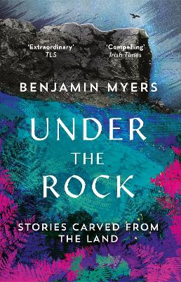 Book cover for Under the Rock