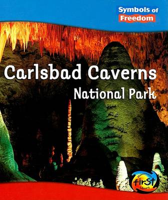 Book cover for Carlsbad Caverns National Park