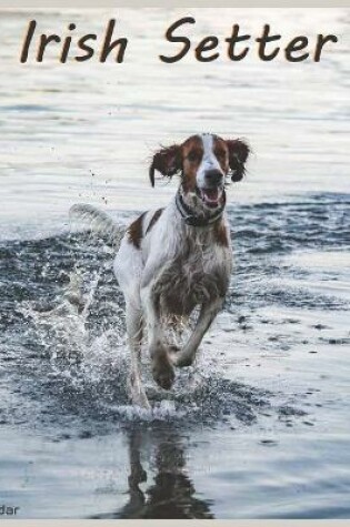 Cover of Irish Setter Calendar 2022