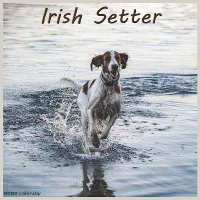 Book cover for Irish Setter Calendar 2022