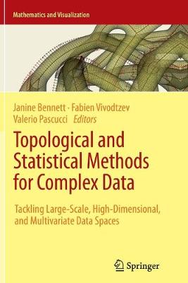 Book cover for Topological and Statistical Methods for Complex Data