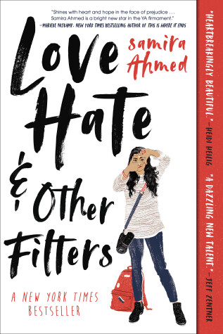 Book cover for Love, Hate and Other Filters