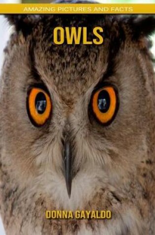 Cover of Owls