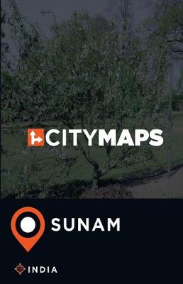 Book cover for City Maps Sunam India