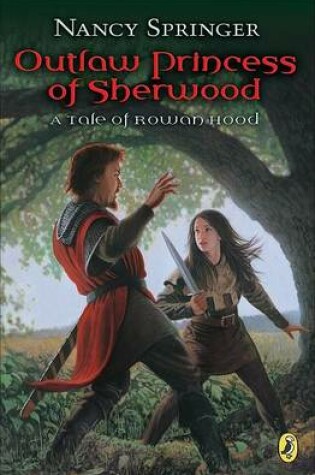 Cover of Outlaw Princess of Sherwood