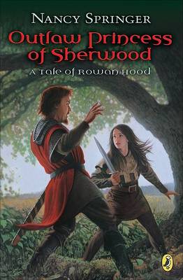 Book cover for Outlaw Princess of Sherwood