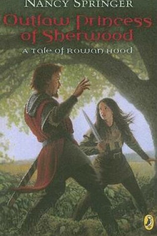 Cover of Outlaw Princess of Sherwood