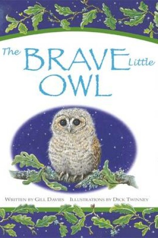 Cover of The Brave Little Owl