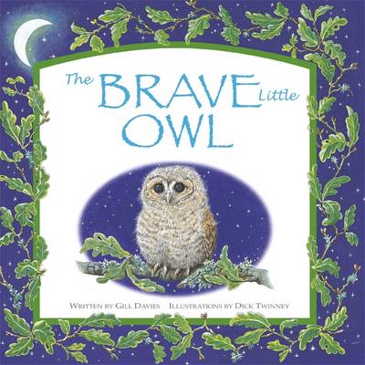 Book cover for The Brave Little Owl