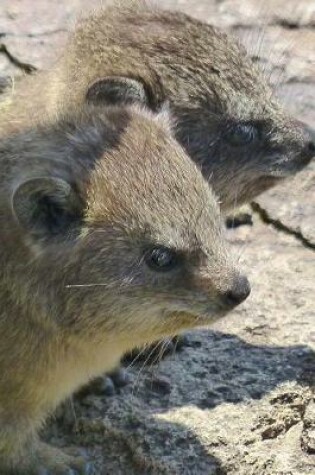 Cover of Cute Pair of Procavia Capensis Cape Hyrax Journal