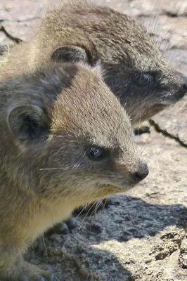 Book cover for Cute Pair of Procavia Capensis Cape Hyrax Journal