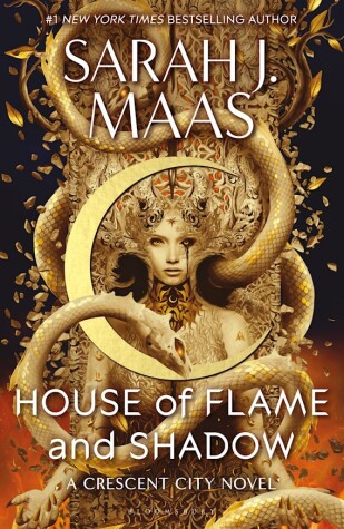 Cover of House of Flame and Shadow