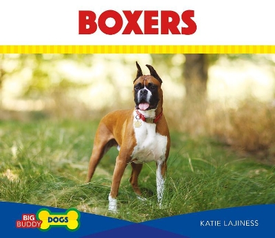 Cover of Boxers