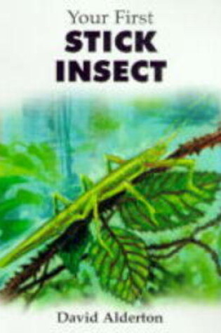 Cover of Your First Stick Insect