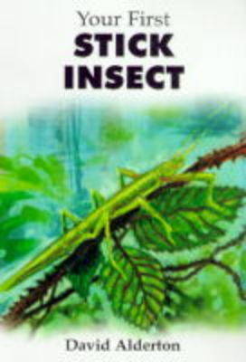 Book cover for Your First Stick Insect