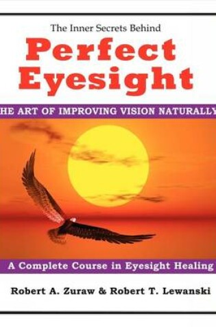 Cover of Perfect Eyesight