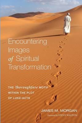 Book cover for Encountering Images of Spiritual Transformation