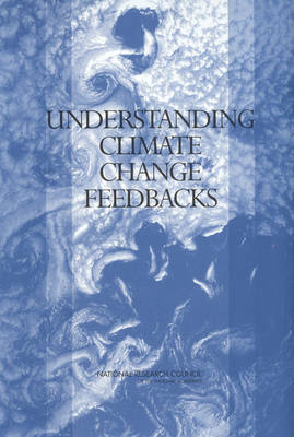 Book cover for Understanding Climate Change Feedbacks