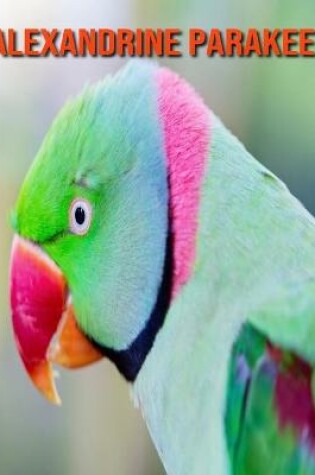 Cover of Alexandrine Parakeet