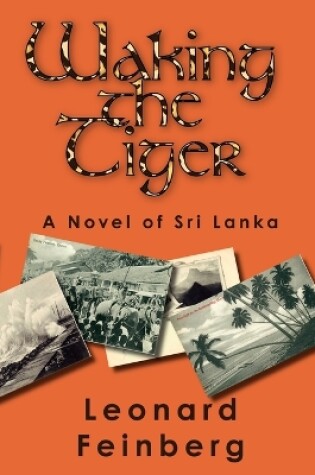Cover of Waking the Tiger
