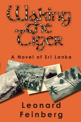 Book cover for Waking the Tiger