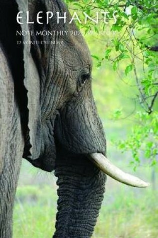 Cover of Elephants Note Monthly 2020 Planner 12 Month Calendar